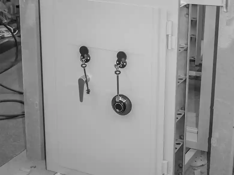 Emergency vault doors